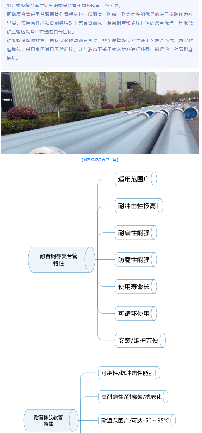 中国·8590am发明海洋财产(海洋之神)官方网站