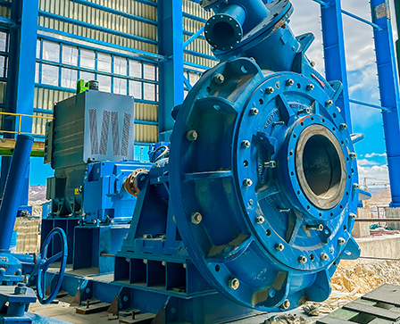 中国·8590am发明海洋财产(海洋之神)官方网站